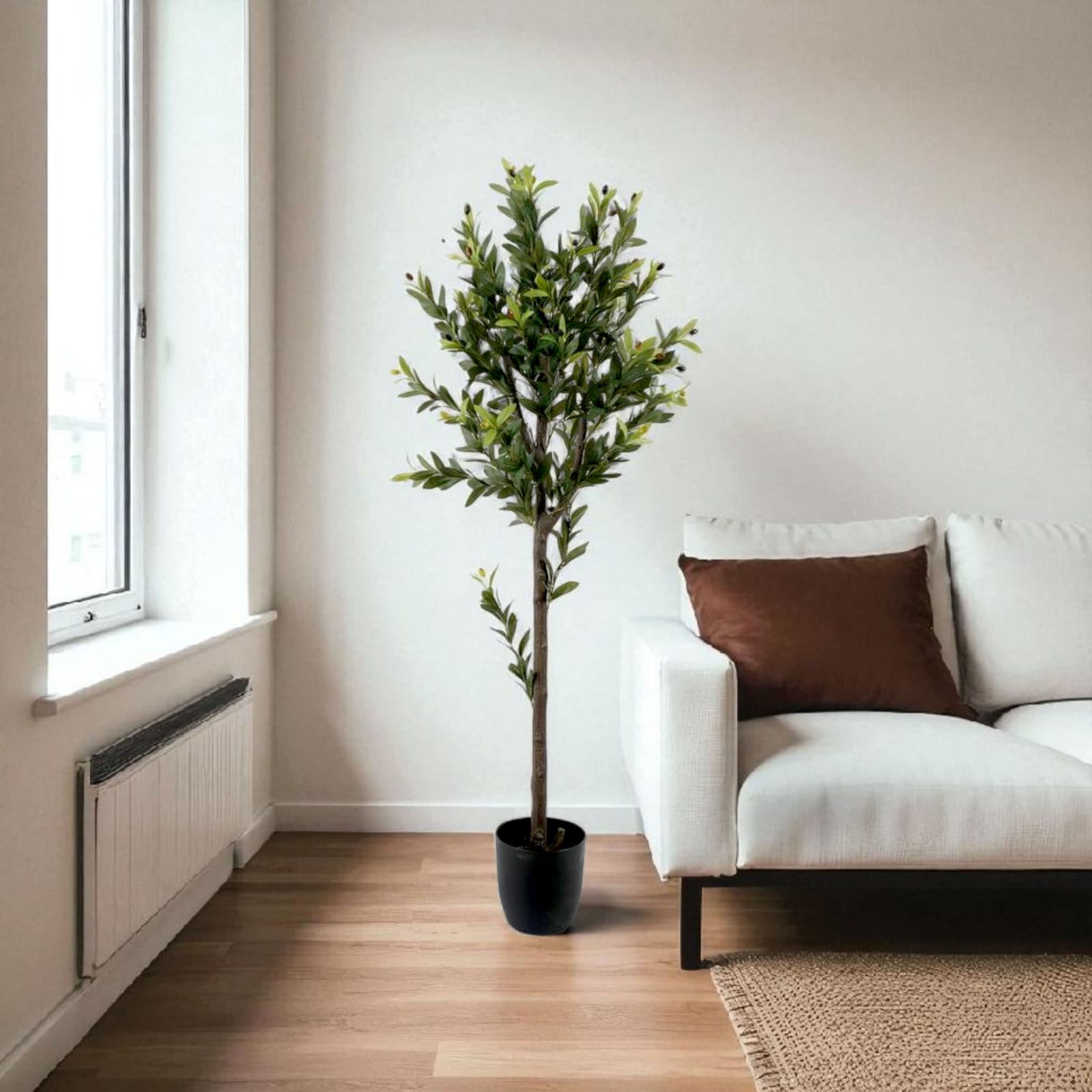 Olive tree | Without bot