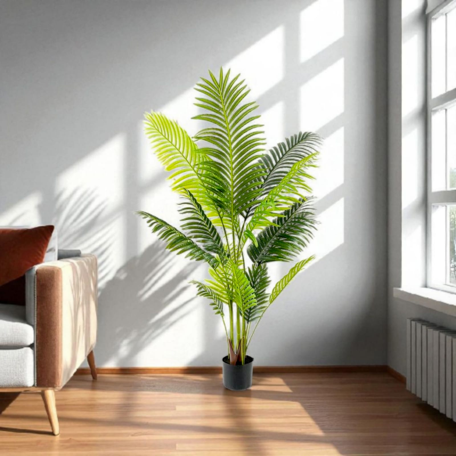 3-trunk cycas tree | Without bot