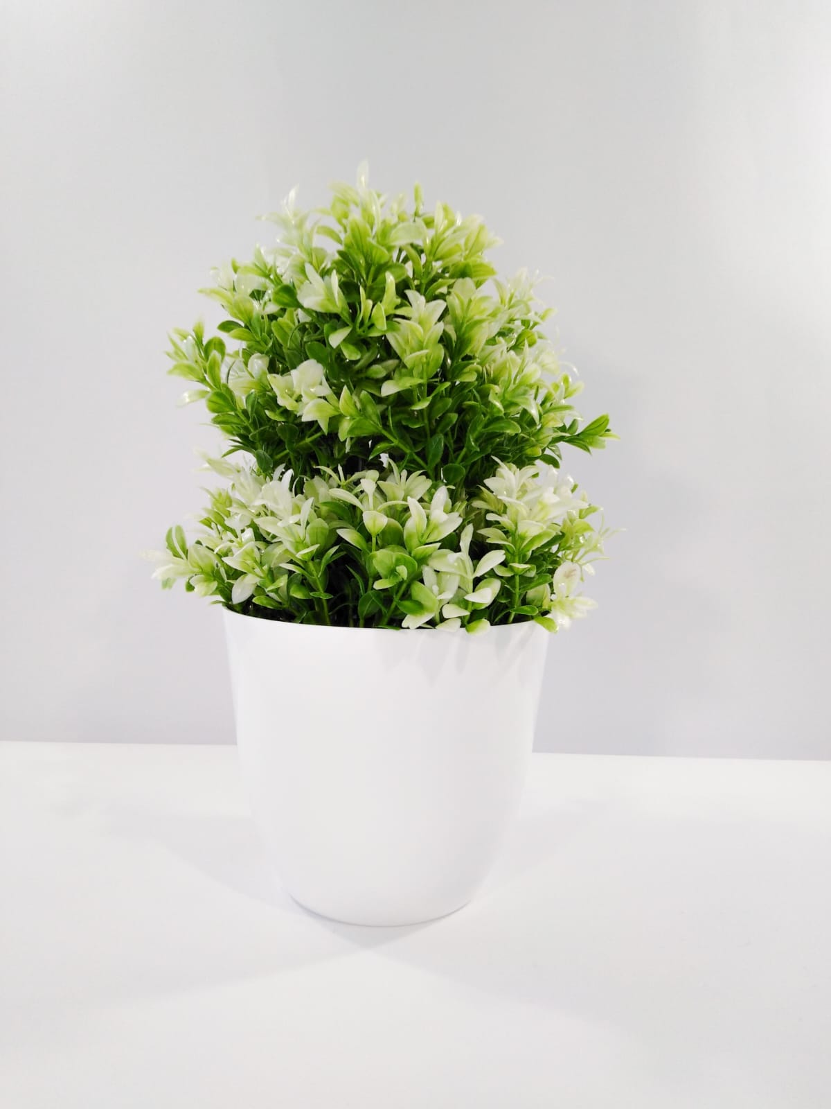 green and white plant