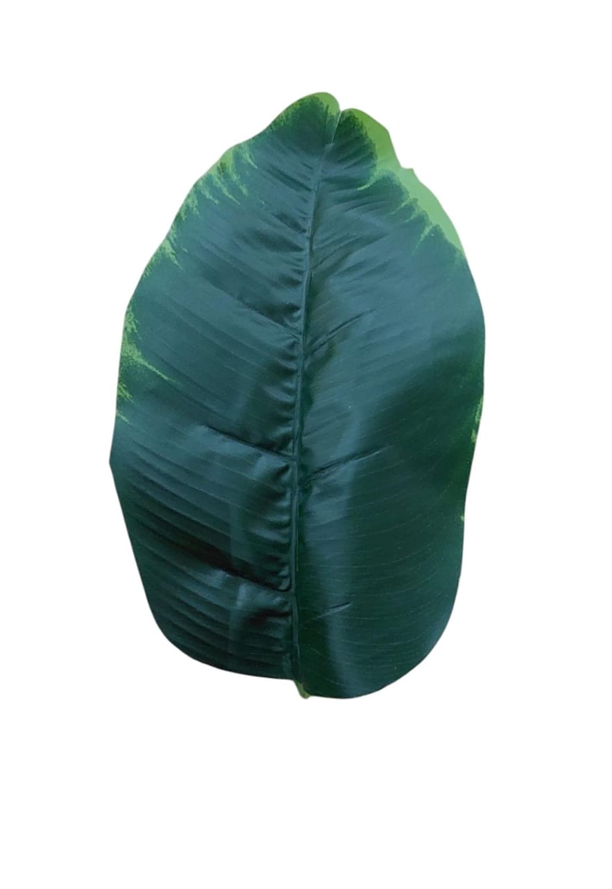 Banana tree 24 branches