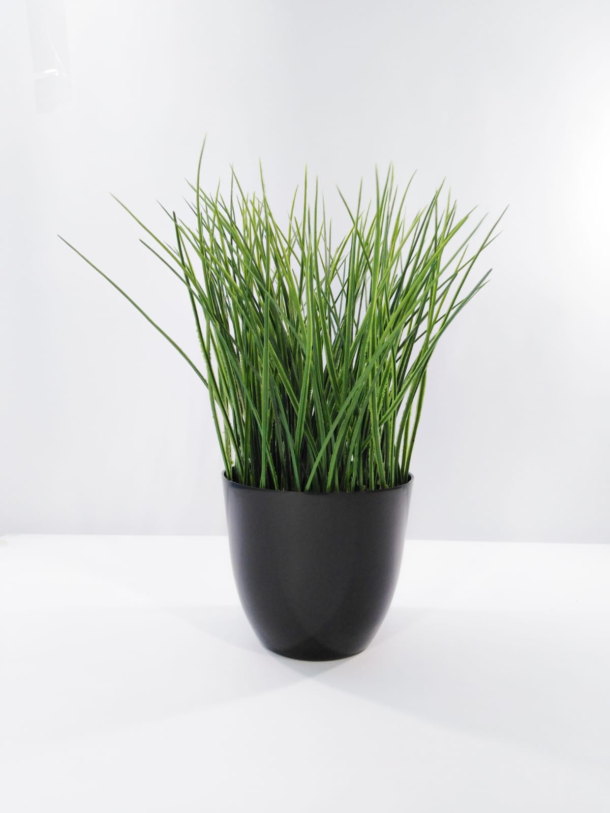 purplegrass vase