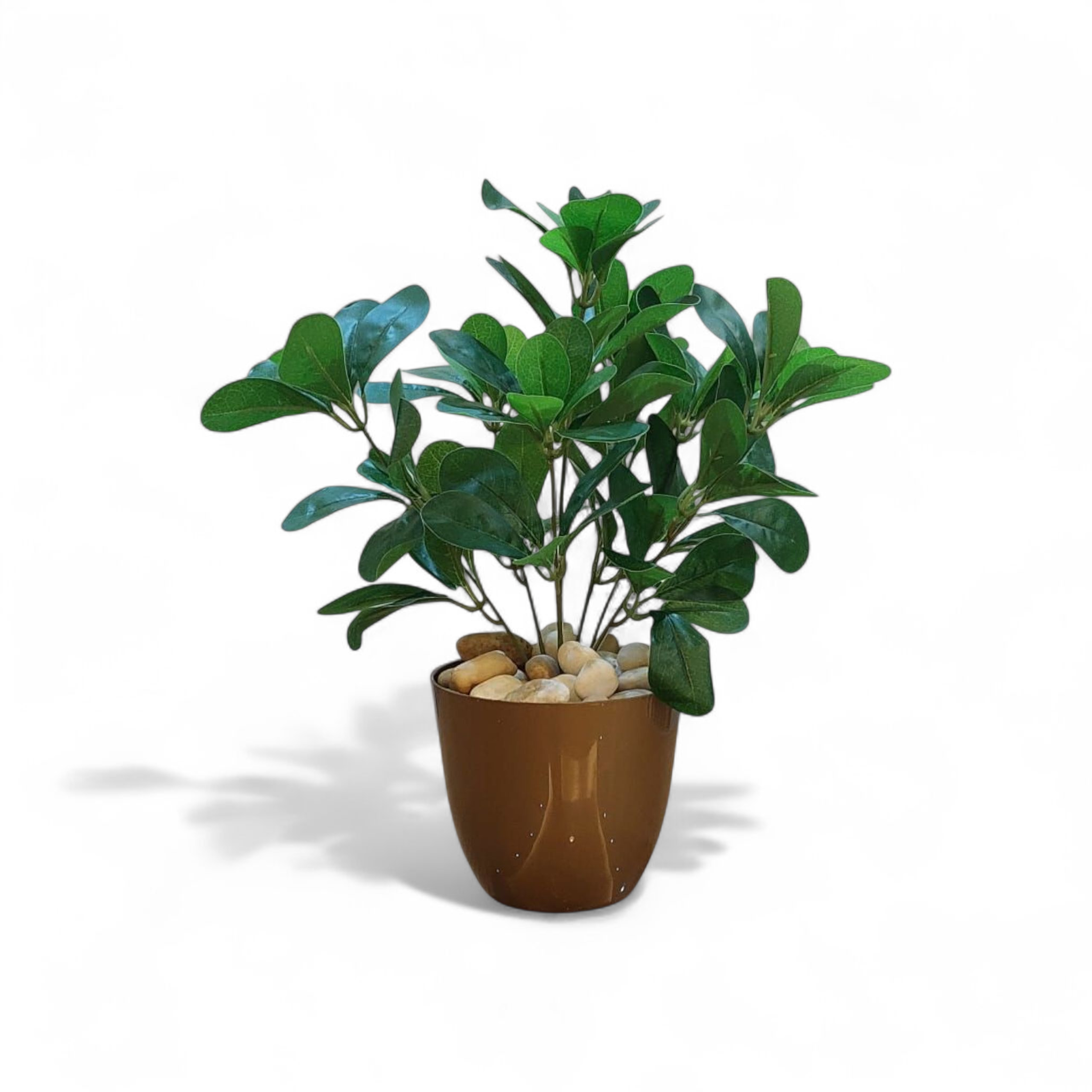 Green Schefflera vase