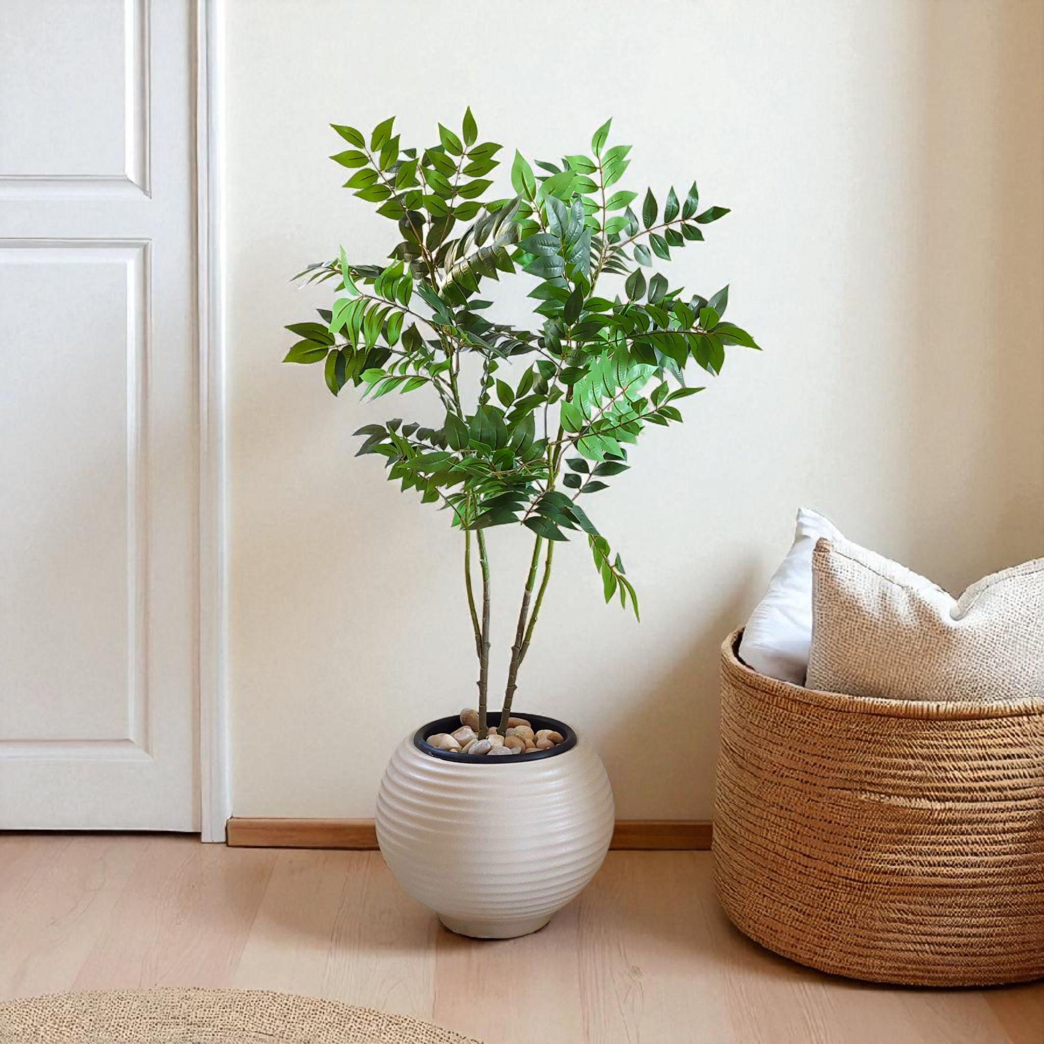 Benjamin tree 4 branches | with Showa beige bot