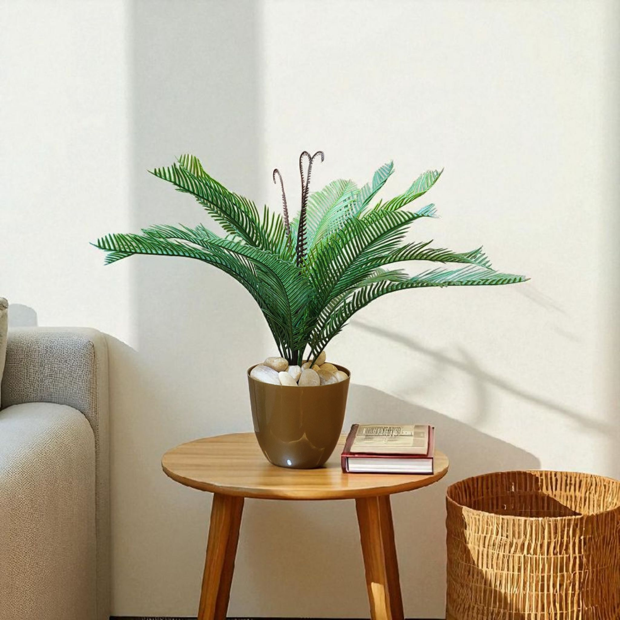 Cycas vase
