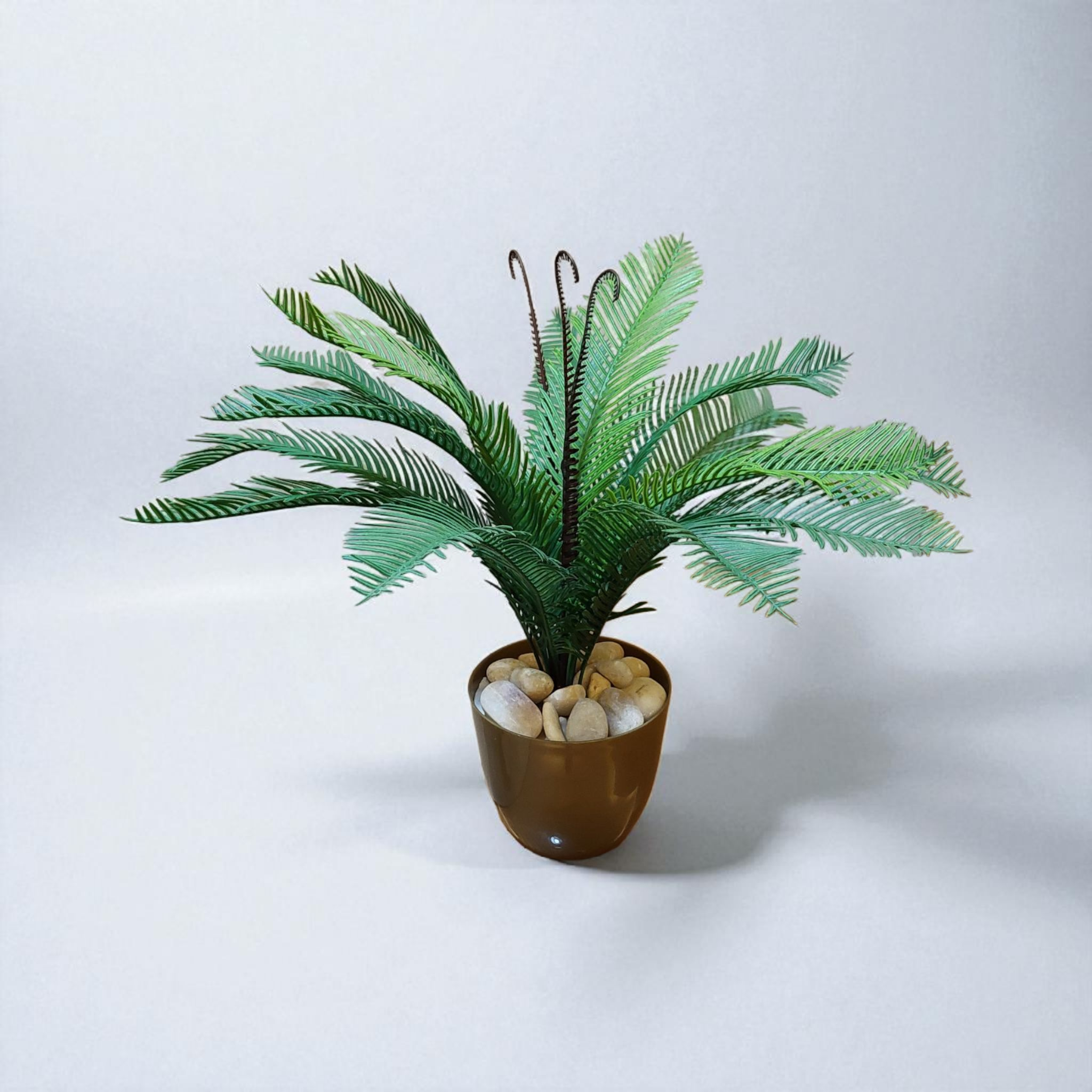 Cycas vase