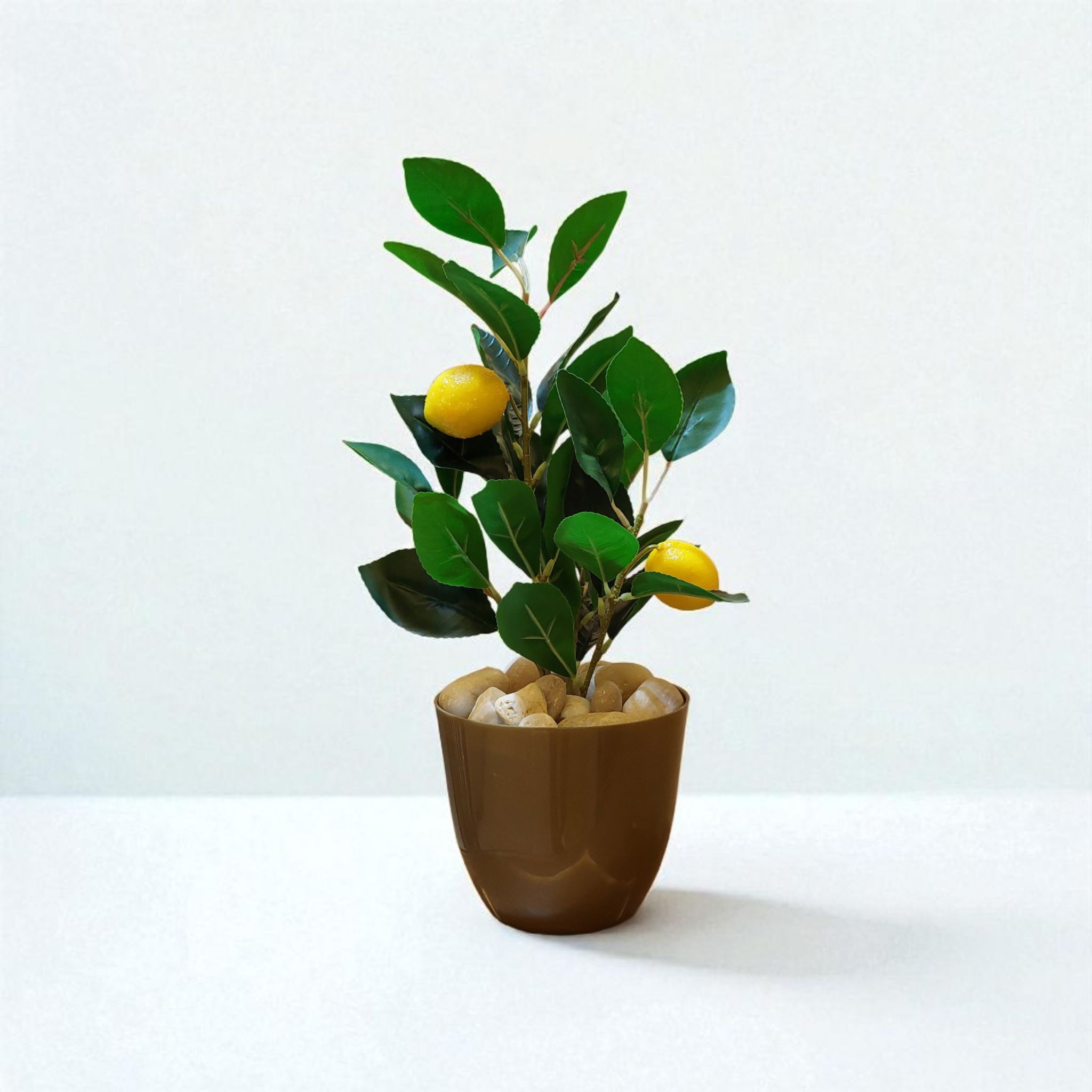 Lemon plant