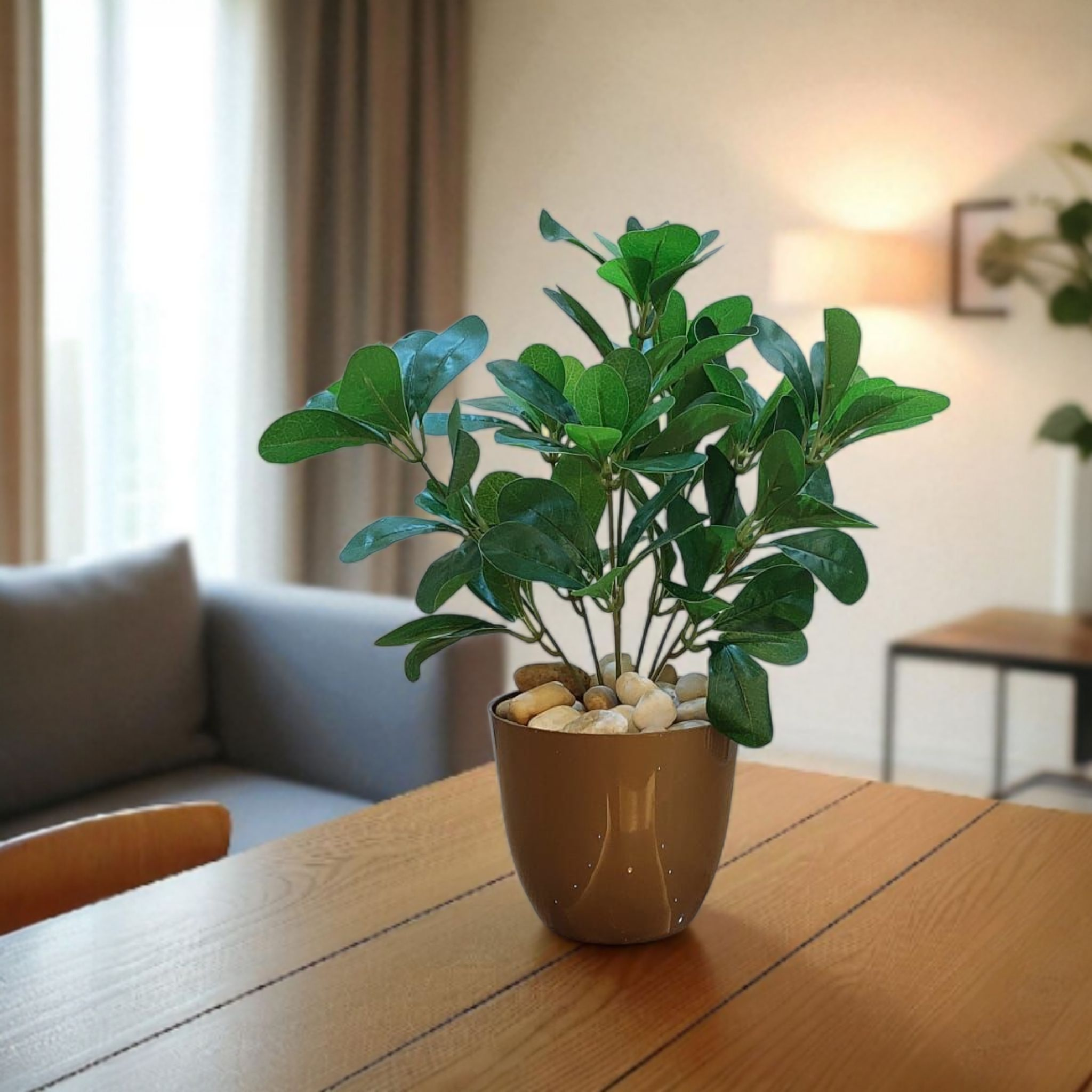 Green Schefflera vase