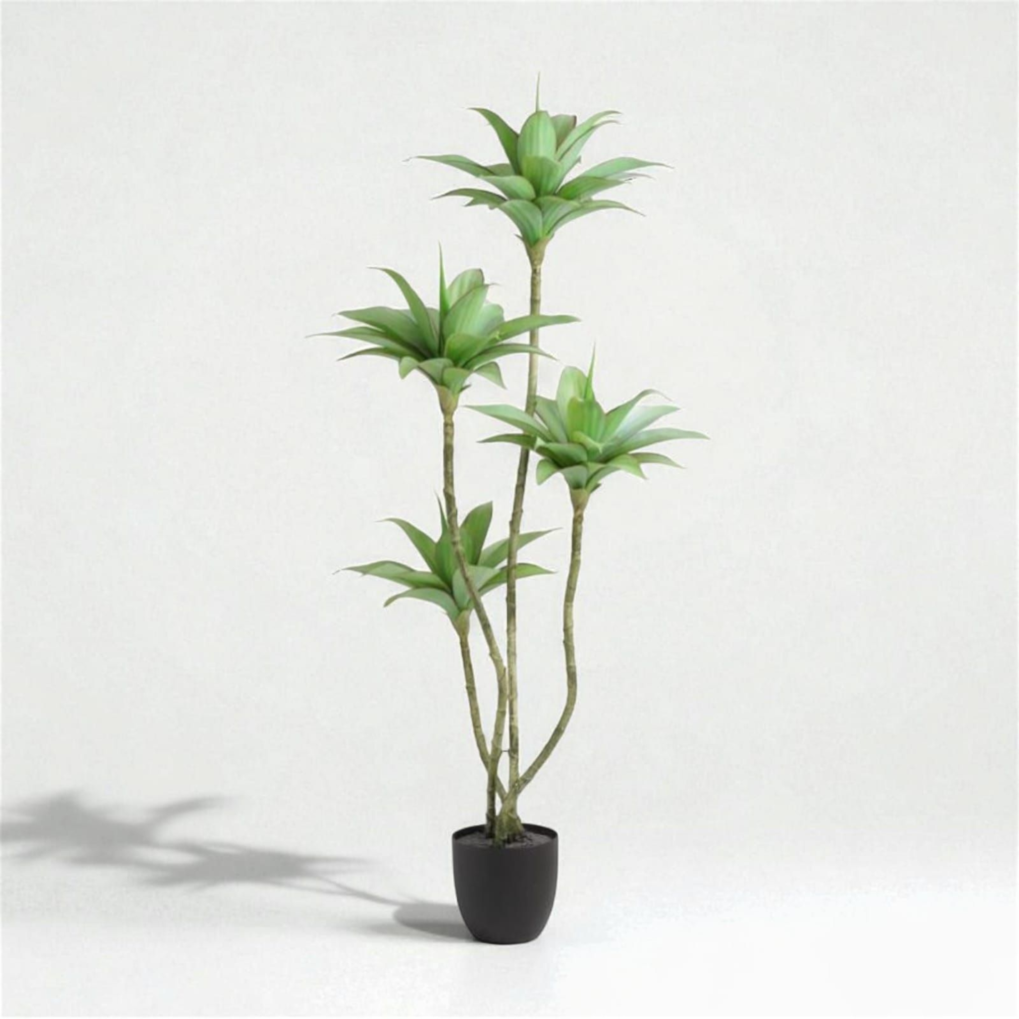 Lotus tree | Without bot