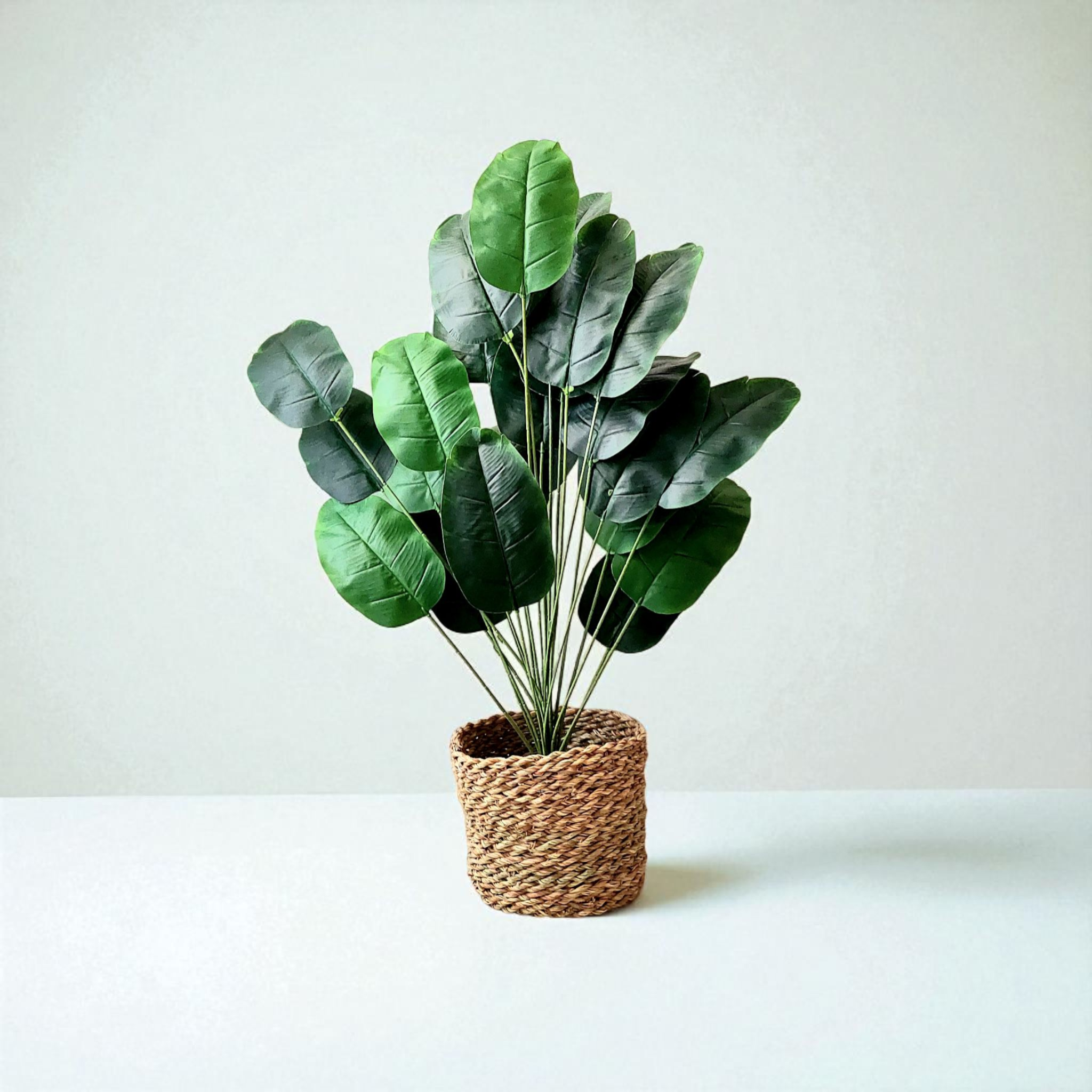 Banana tree | Wicker boots