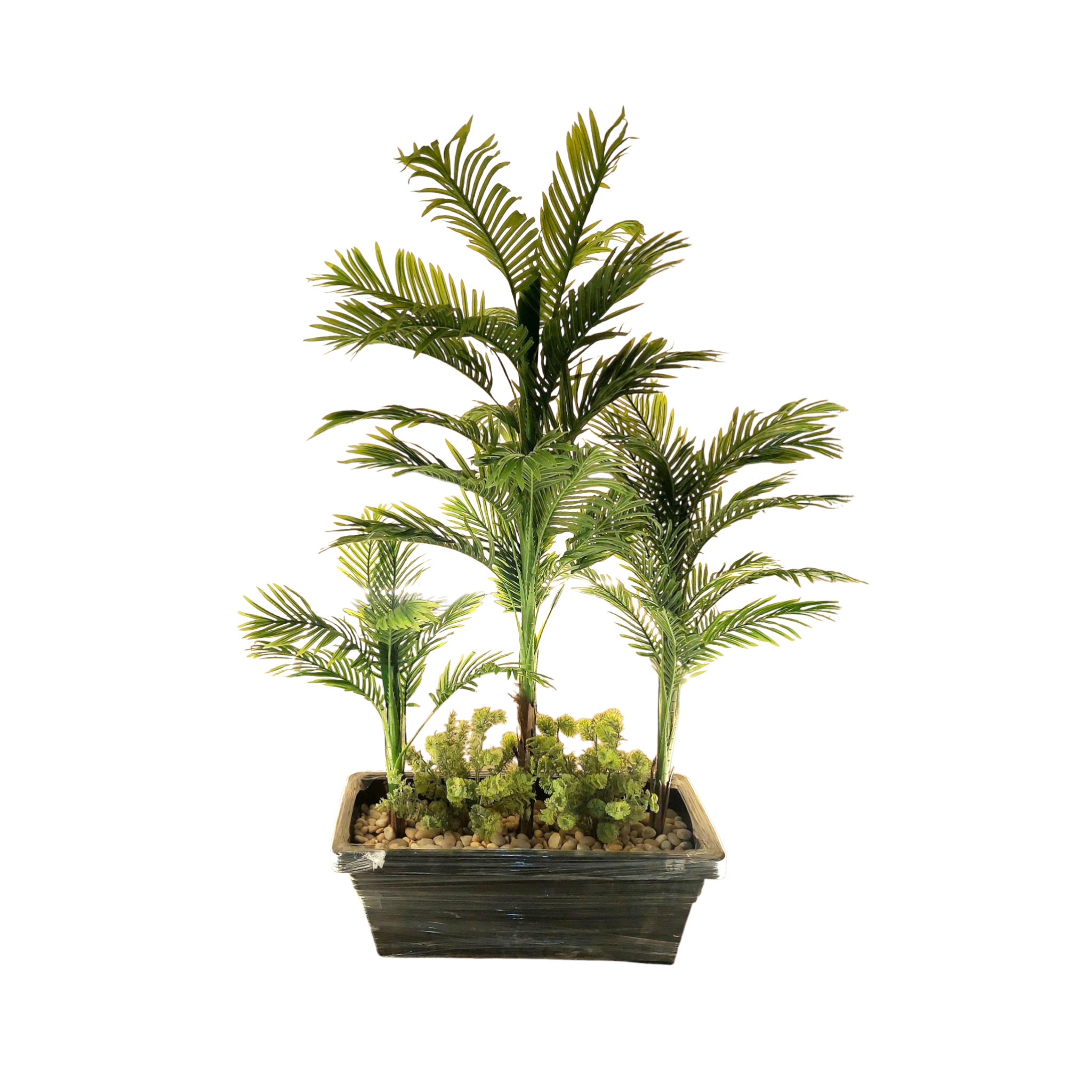 Box of 3 trees of different sizes