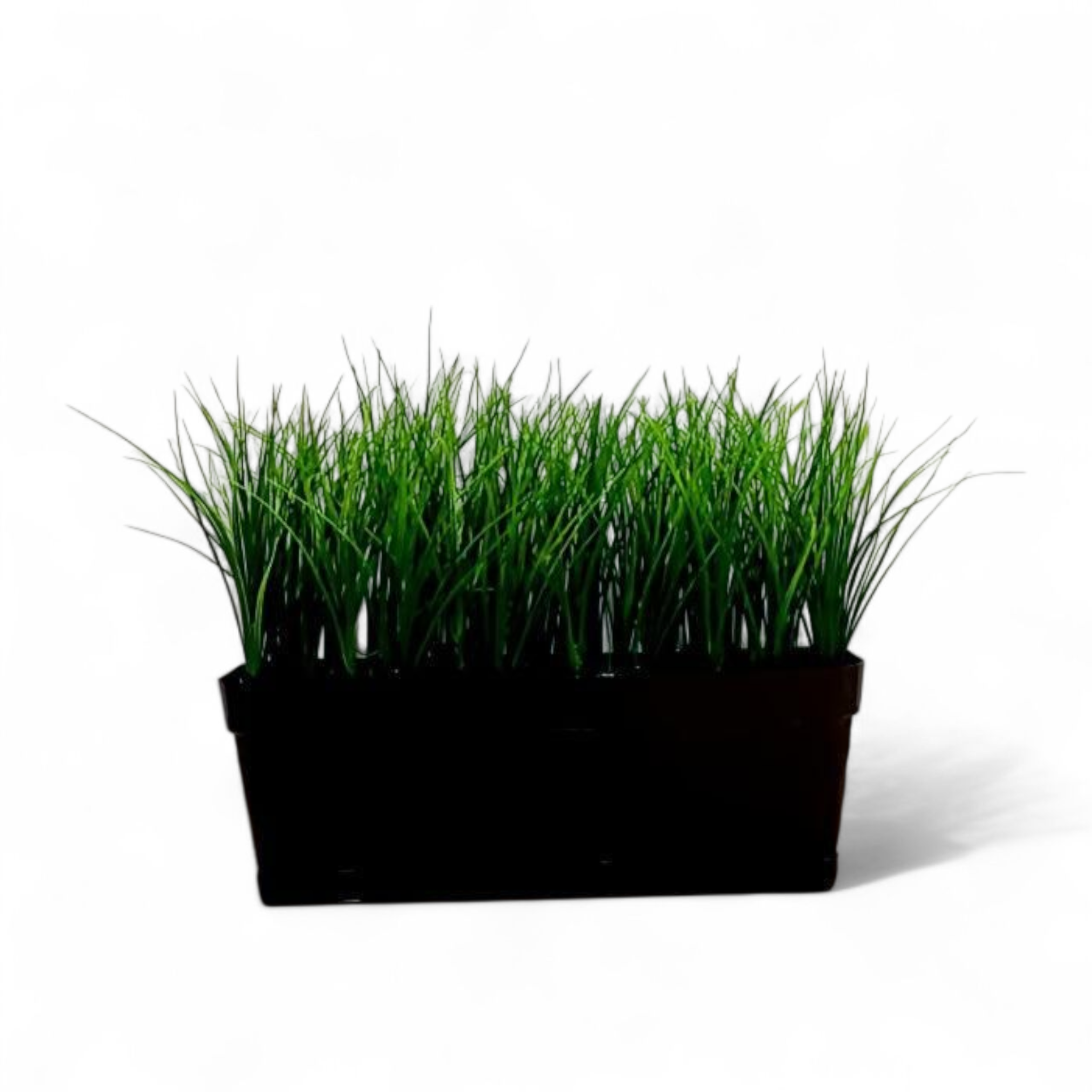 Grass box