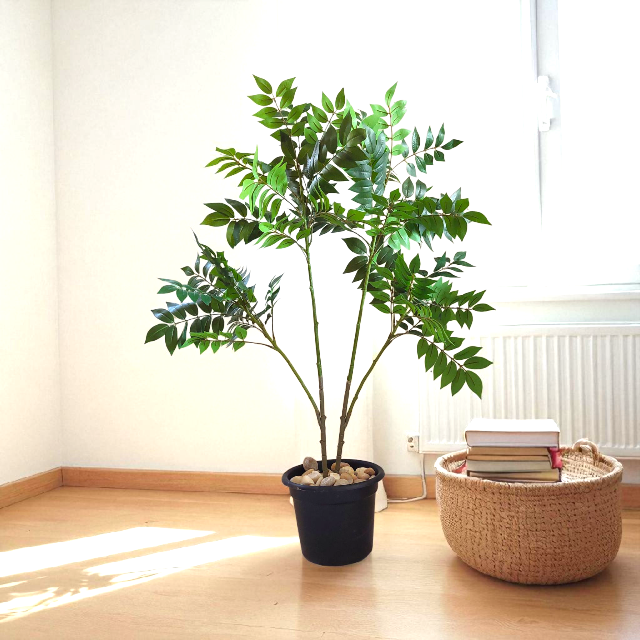 Benjamin tree 4 branches