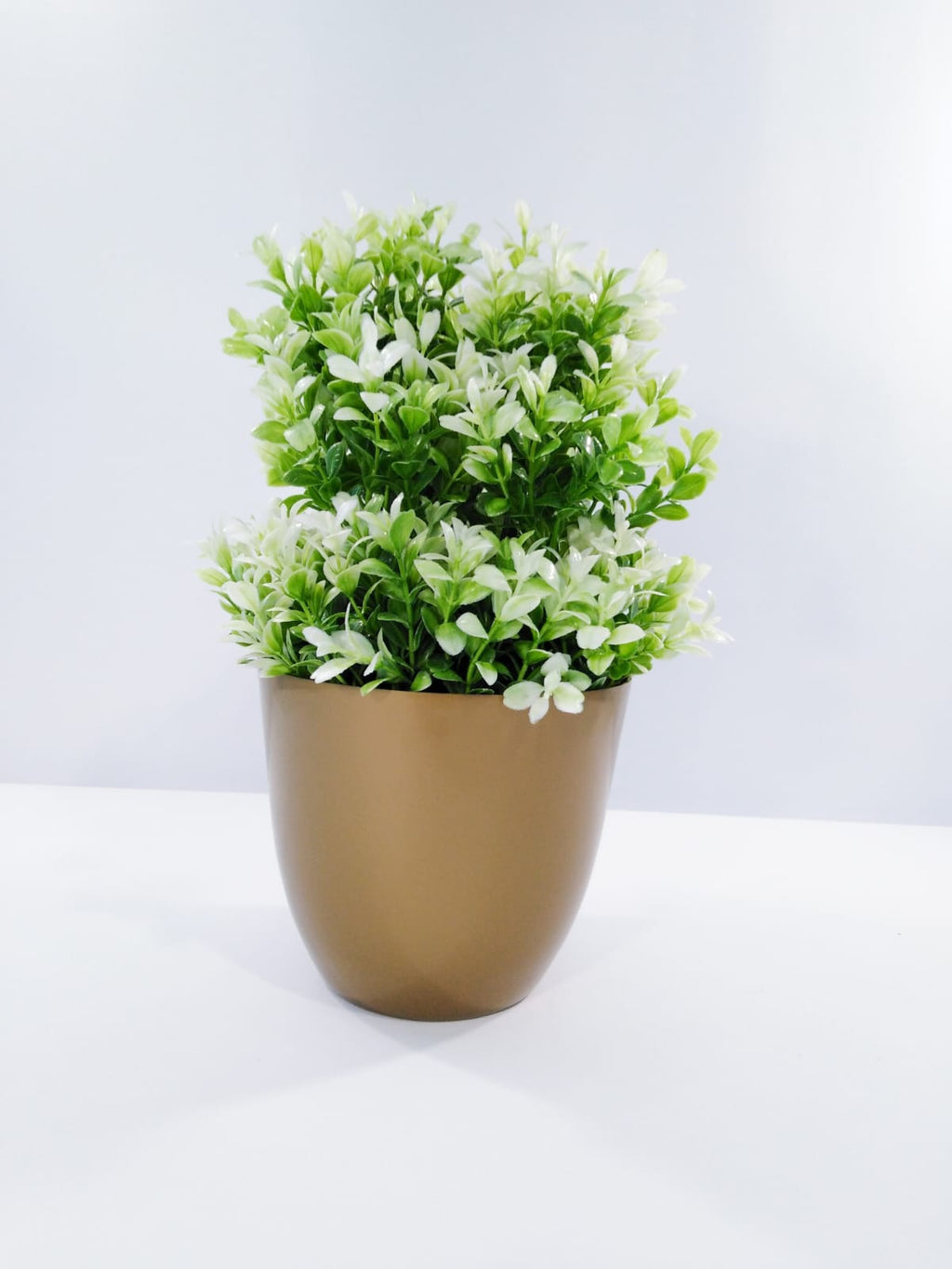 green and white plant