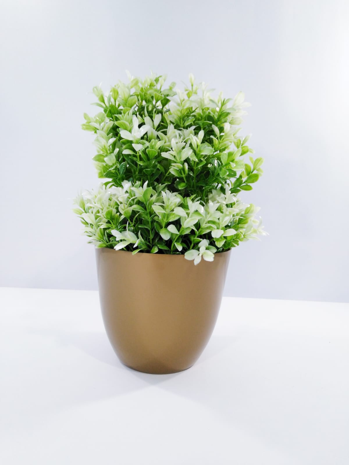 green and white plant