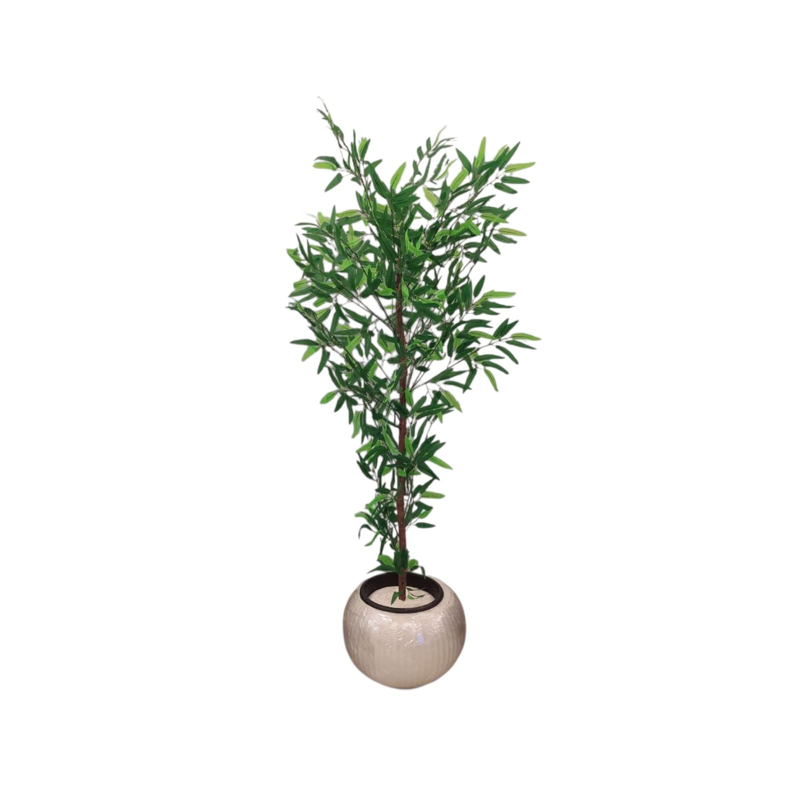 Single willow tree