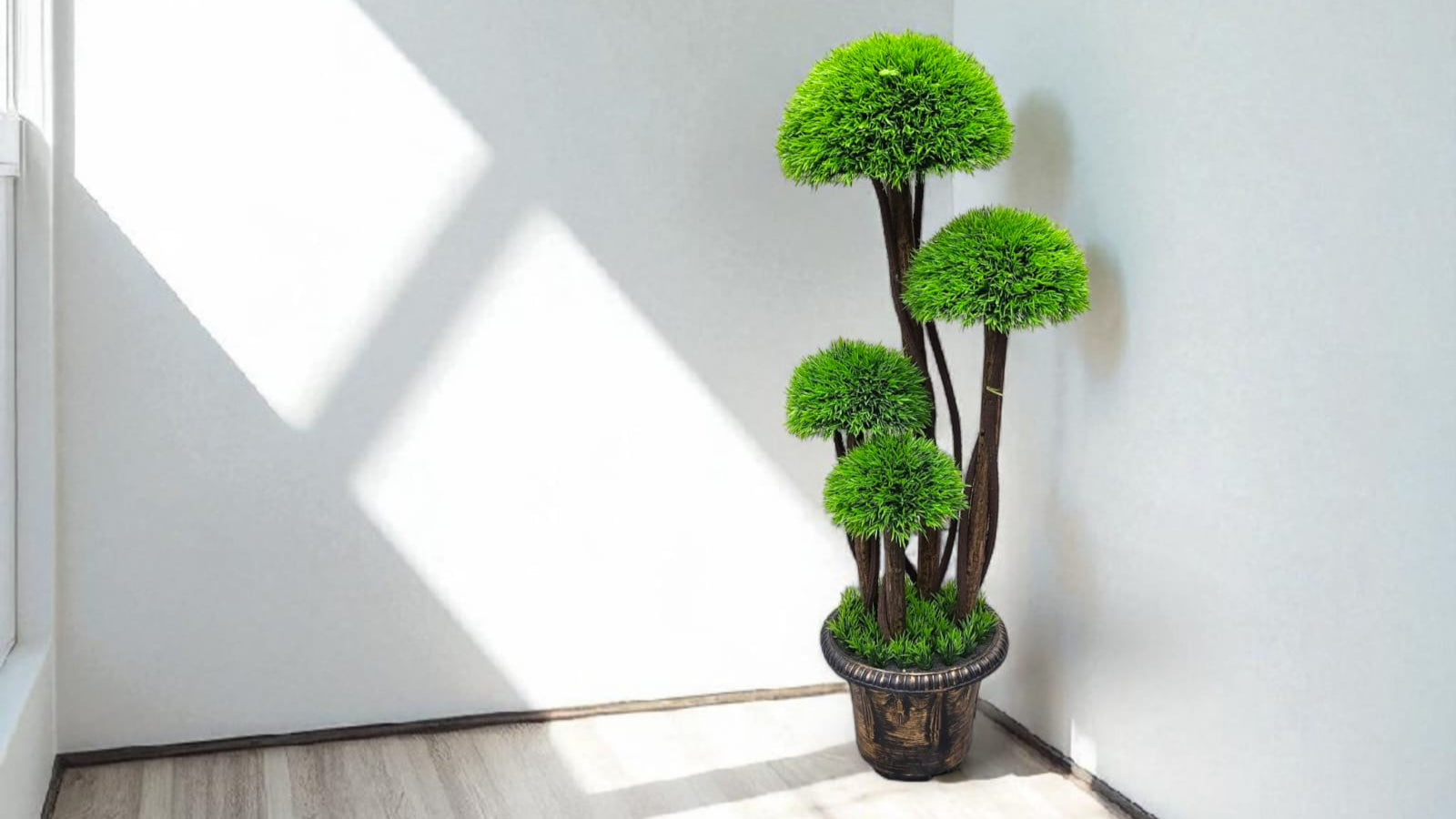 Thuja Cypress Tree
