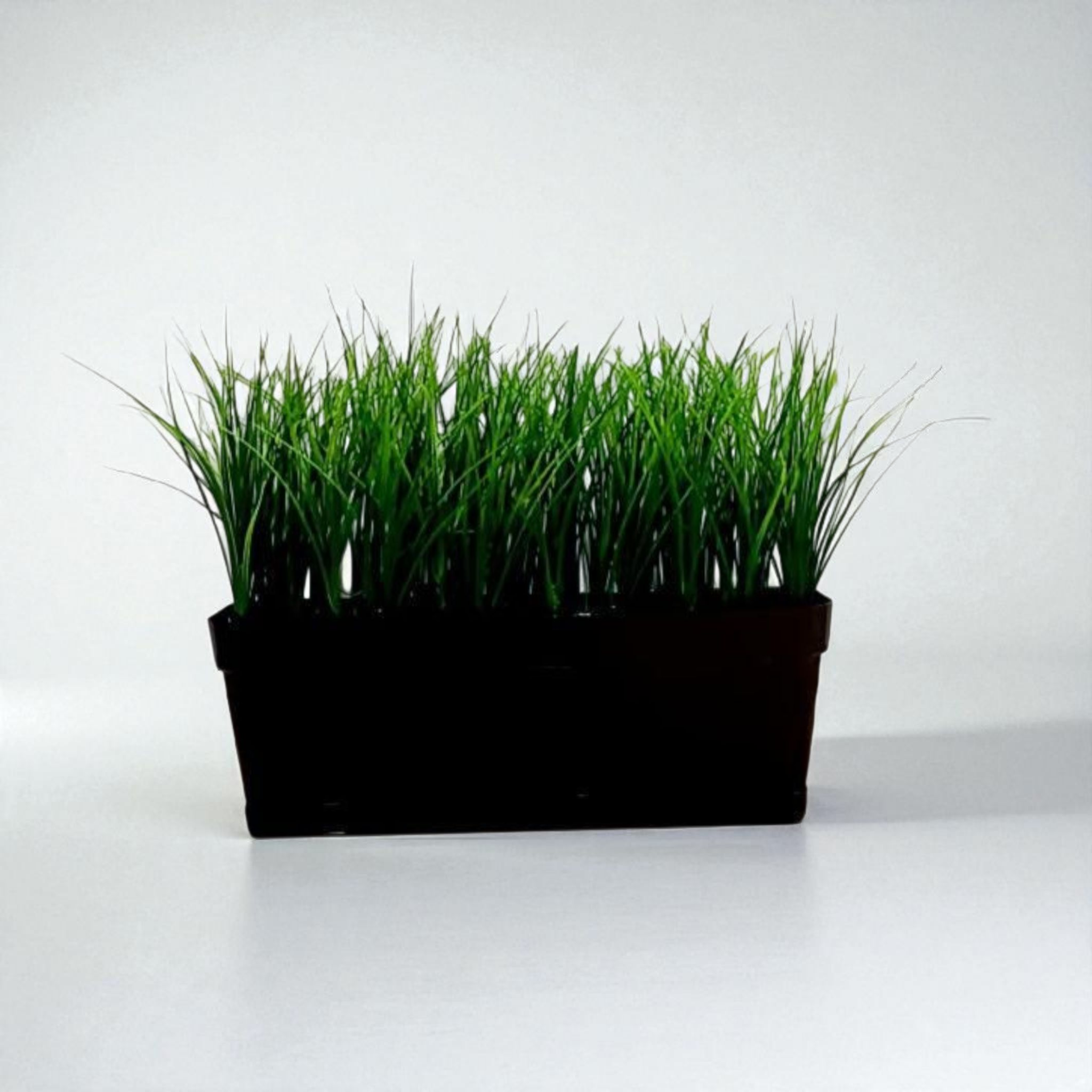 Grass box
