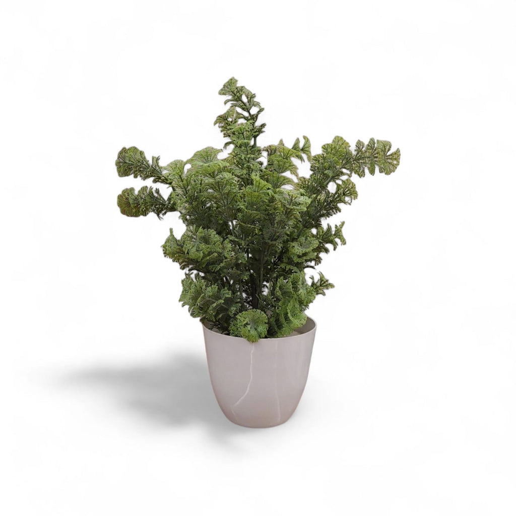 green vase mushroom