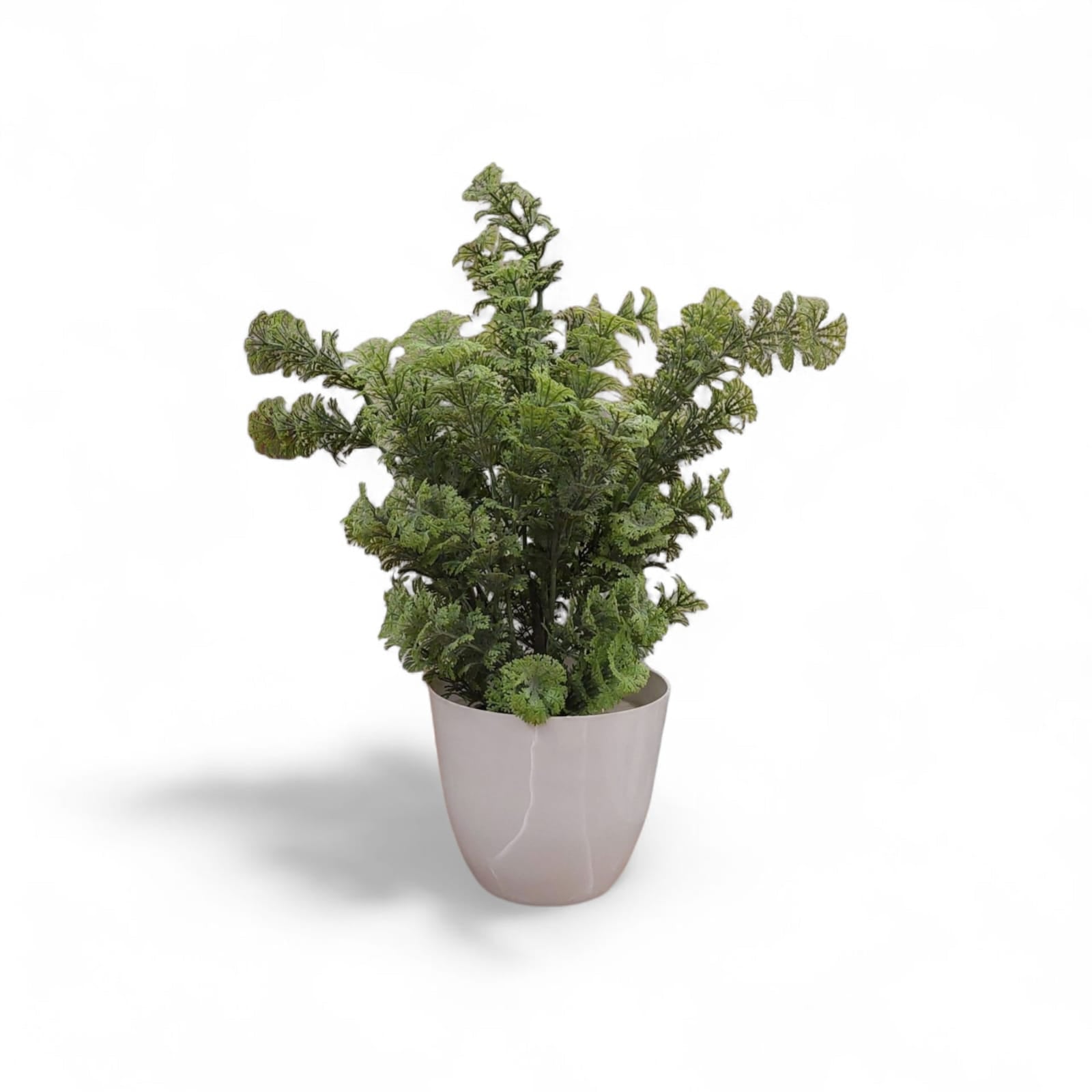 green vase mushroom