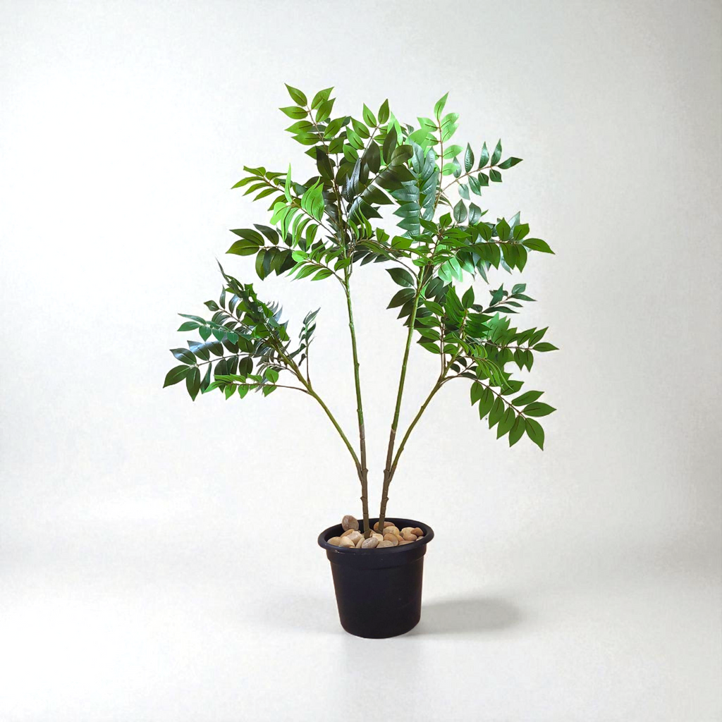 Benjamin tree 4 branches