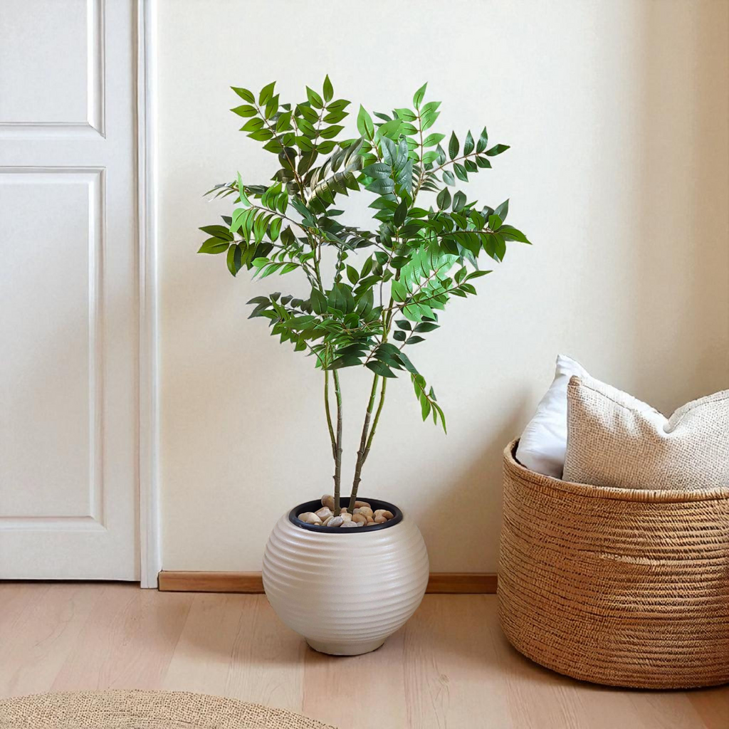 Benjamin tree 4 branches | with Showa beige bot