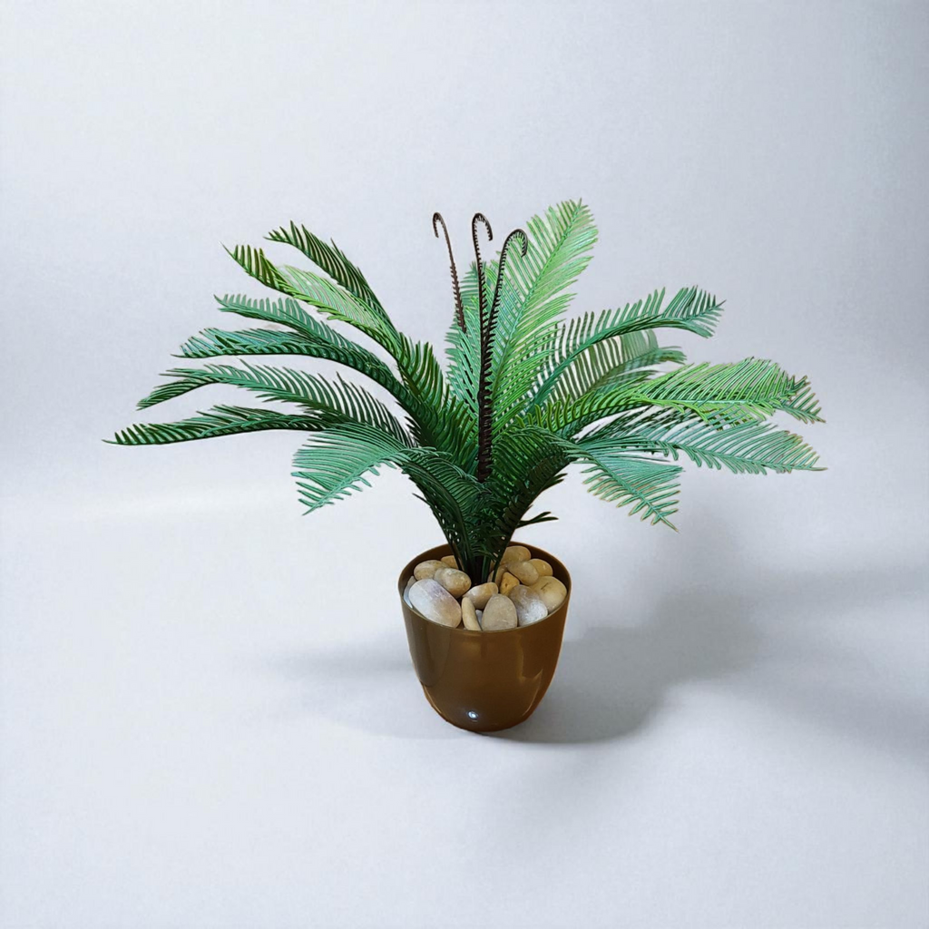 Cycas vase