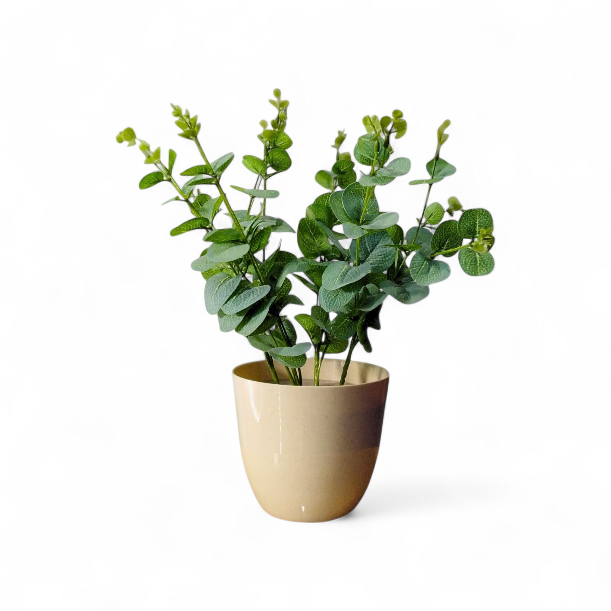 Artificial eucalyptus vase