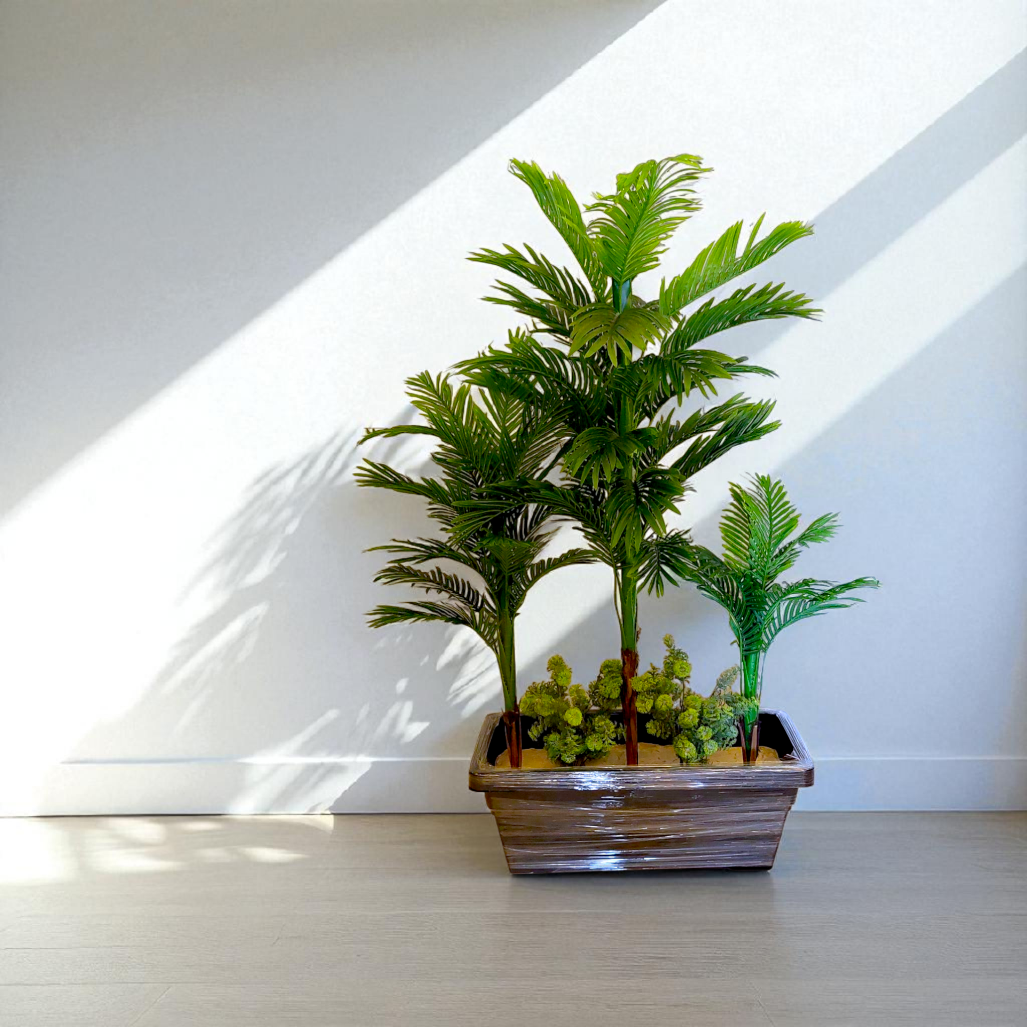 Box of 3 trees of different sizes