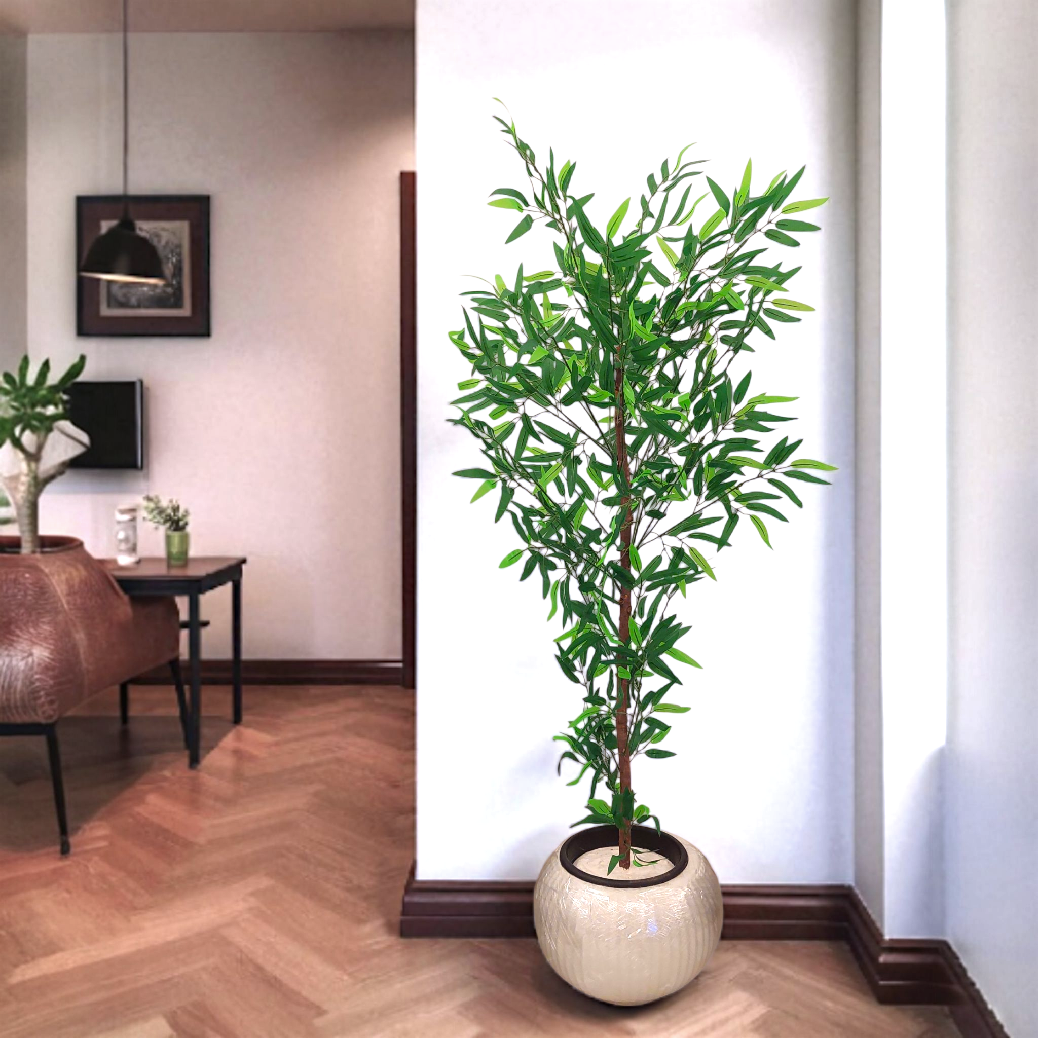 Single willow tree