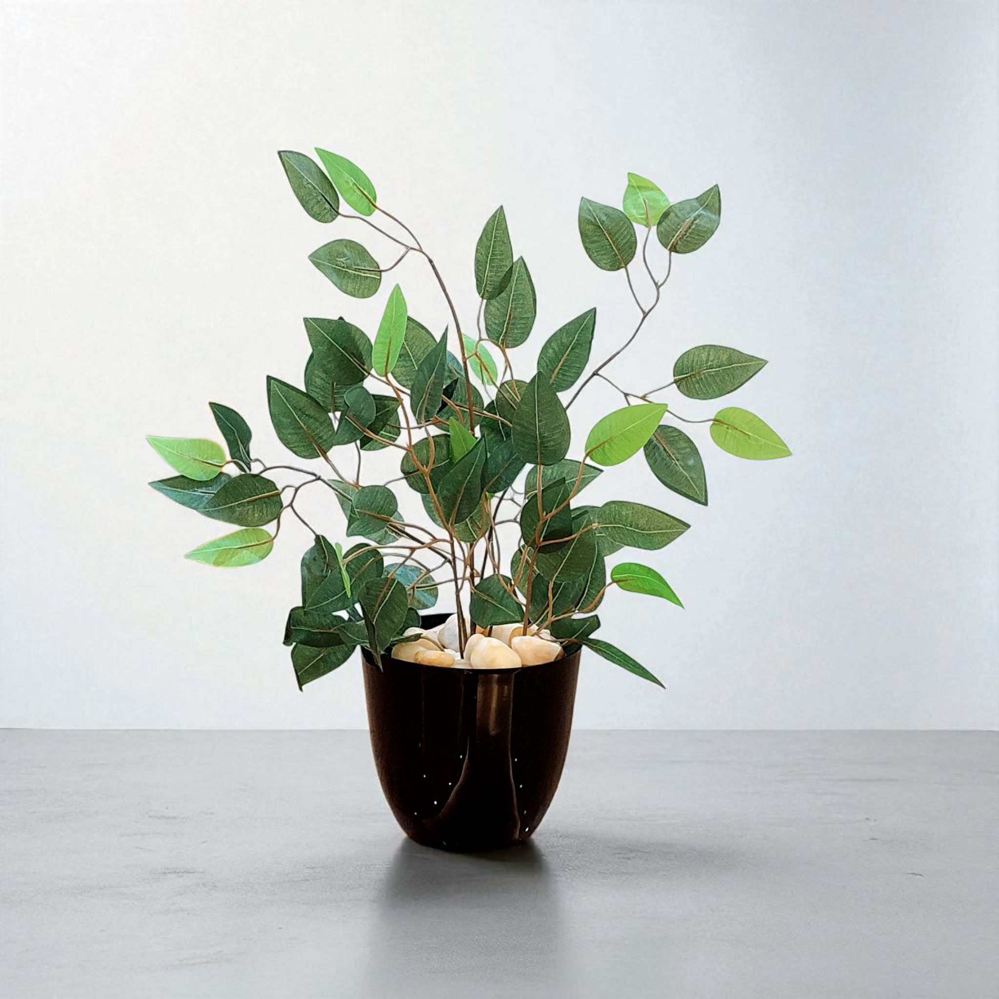 Benjamina vase