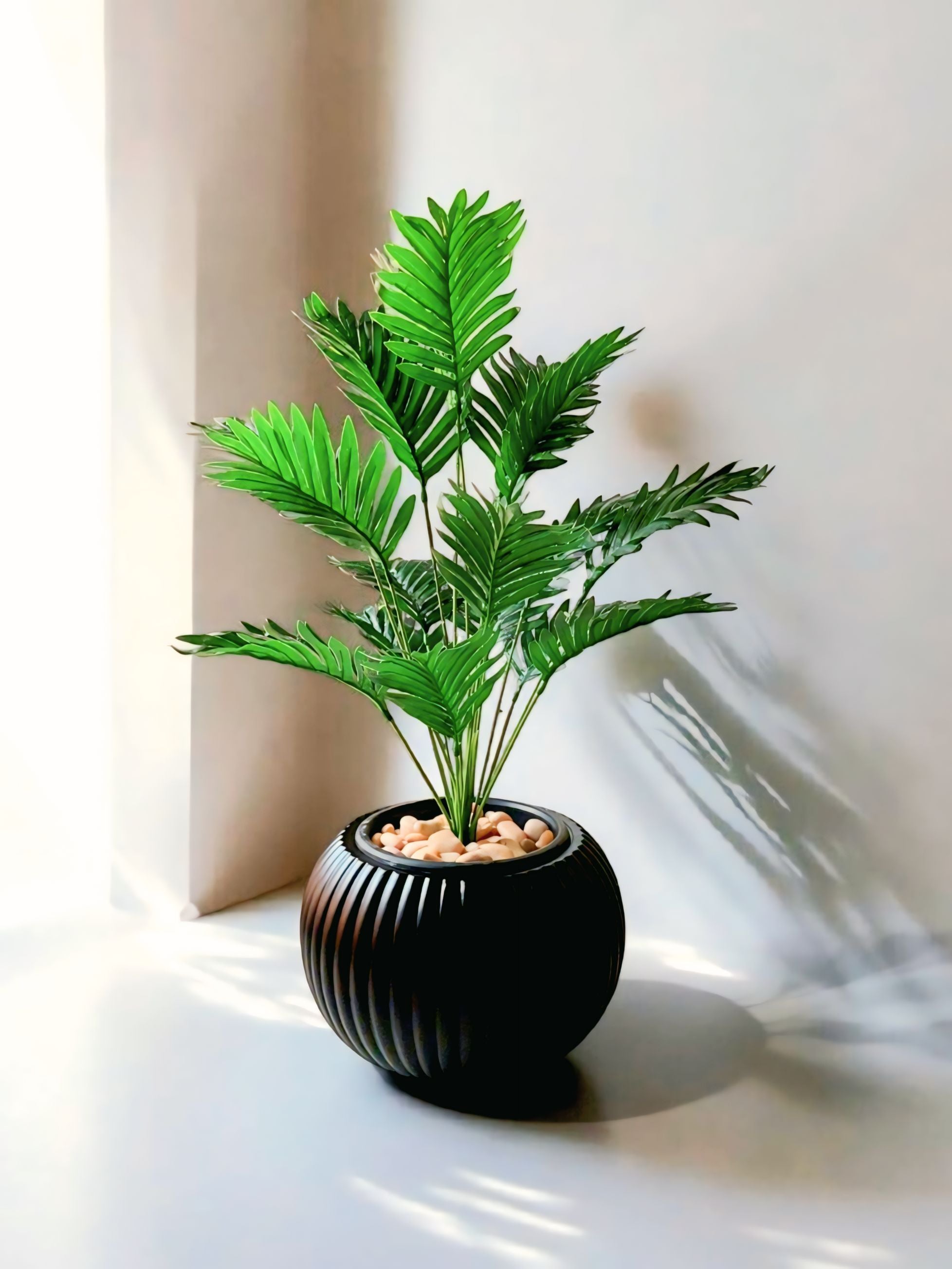 18-branch cycas tree
