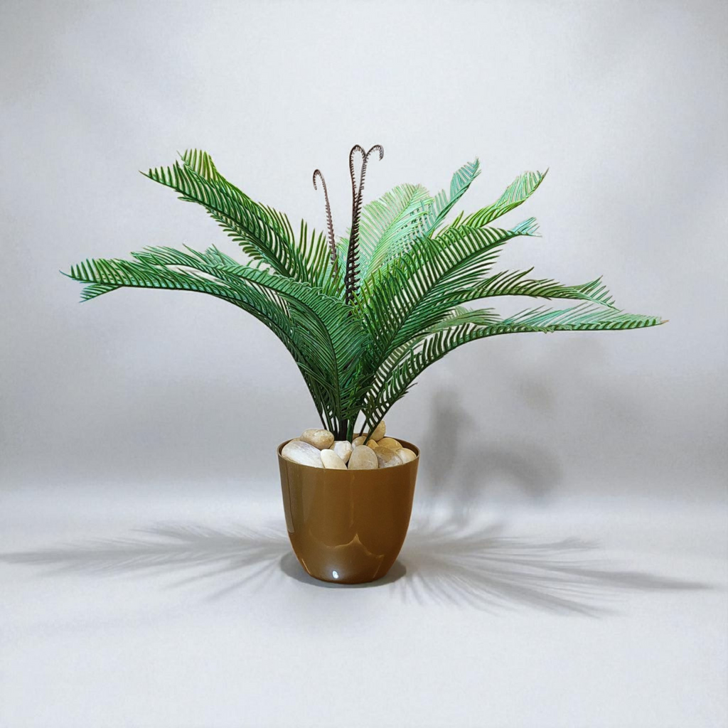 Cycas vase